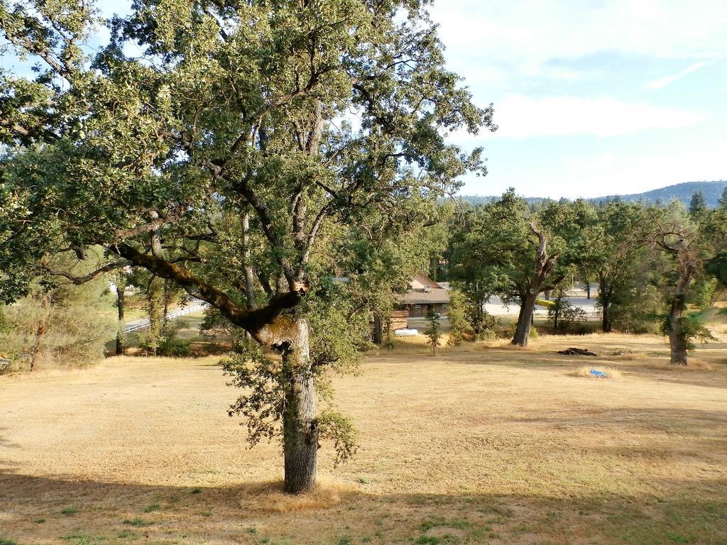 New Charming 2 Bedrooms Unit Close To Everything Oakhurst Esterno foto