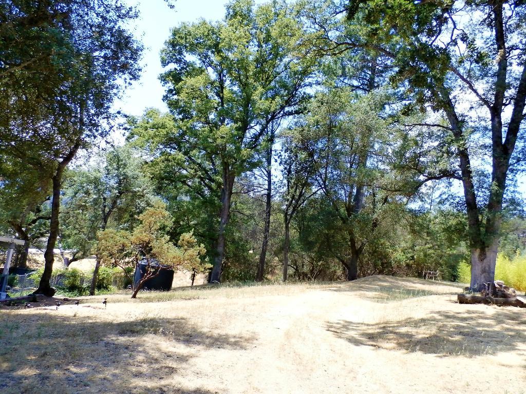 New Charming 2 Bedrooms Unit Close To Everything Oakhurst Esterno foto